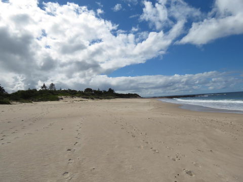 Sweet Spot Shellharbour - Accommodation Yamba 15
