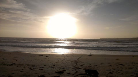 Sweet Spot Shellharbour - Accommodation Yamba 16