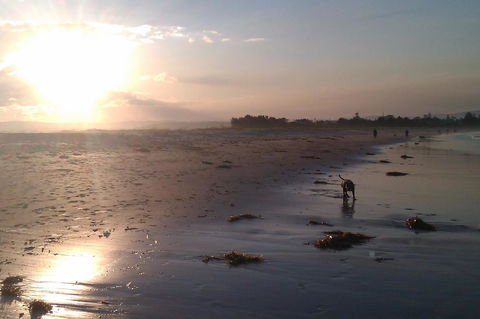 Sweet Spot Shellharbour - Accommodation Yamba 12
