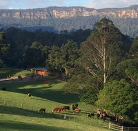 Amaroo Valley Springs - Accommodation Yamba