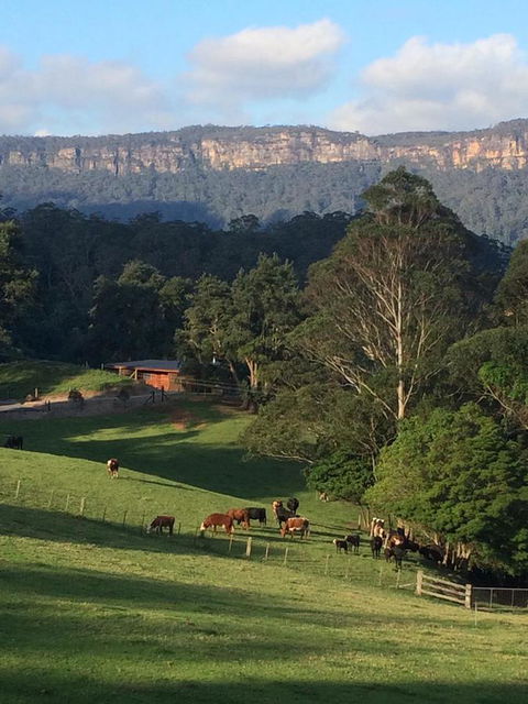 Amaroo Valley Springs - Accommodation Yamba 0