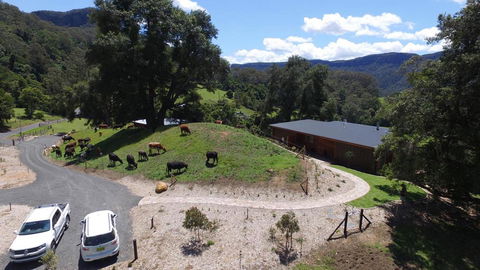 Amaroo Valley Springs - Accommodation Yamba 19