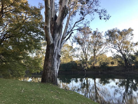 The Botanical 201 - Accommodation Yamba 18