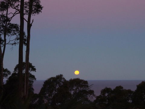 Bundle Hill Cottages - Accommodation Yamba 36