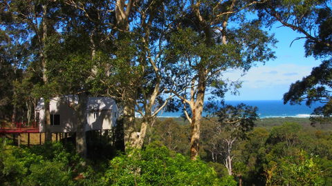 Bundle Hill Cottages - Accommodation Yamba 7