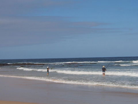 Bundle Hill Cottages - Accommodation Yamba 10
