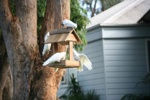 Huskisson Holiday Motel Cabins - Accommodation Yamba 29
