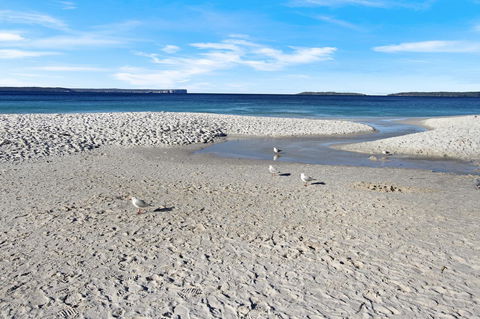 Huskisson Holiday Motel Cabins - Accommodation Yamba 21