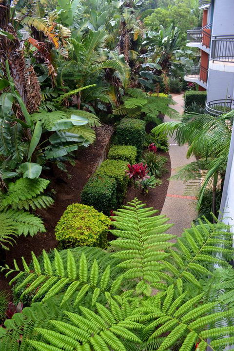 Flynns Beach Resort - Accommodation Yamba 17