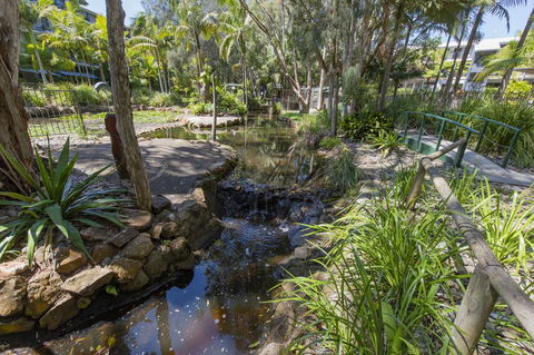Flynns Beach Resort - Accommodation Yamba 13