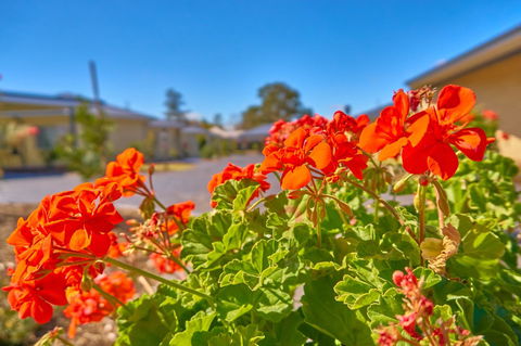 Hunter Oasis - Accommodation Yamba 42