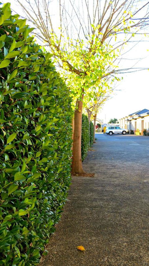 Best Western Plus Goulburn - Accommodation Yamba 37