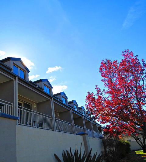 Best Western Plus Goulburn - Accommodation Yamba 9