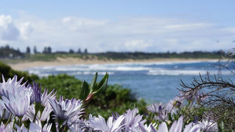 Blue Lagoon Beach Resort - Accommodation Yamba 18