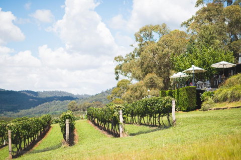 Borrodell Vineyard - Accommodation Yamba 12