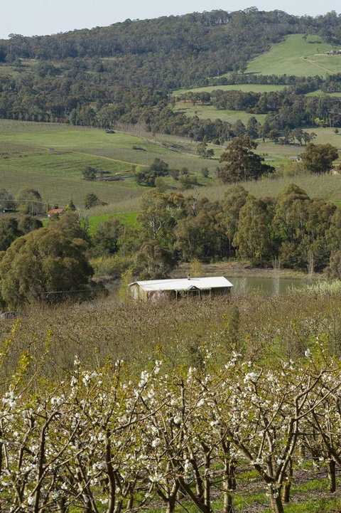 Borrodell Vineyard - Accommodation Yamba 30