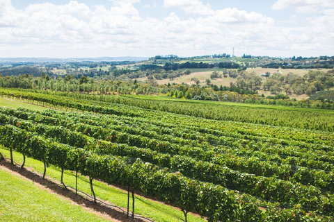 Borrodell Vineyard - Accommodation Yamba 29