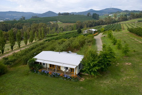Borrodell Vineyard - Accommodation Yamba 2