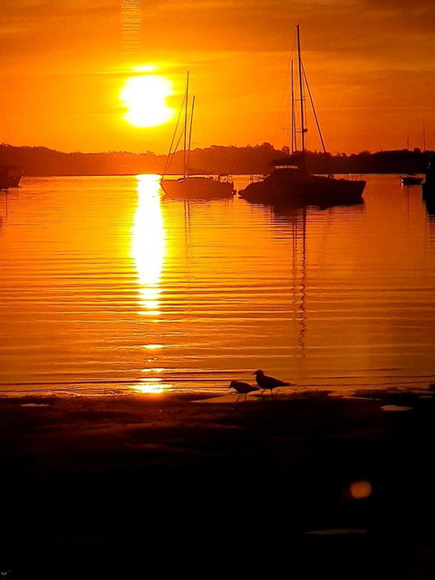 Marina Resort - Accommodation Yamba 3