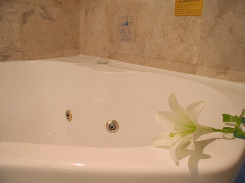 Novotel Sydney Brighton Beach - Accommodation Yamba 11