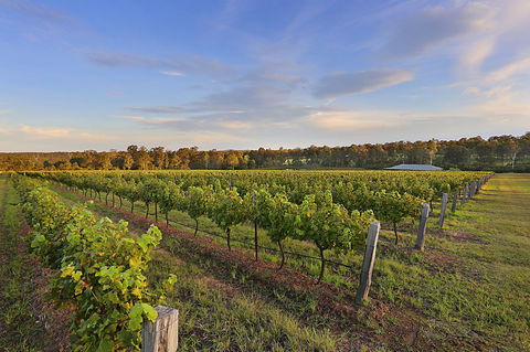 Ironstone Estate Lovedale - Accommodation Yamba 31