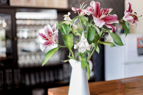 Bundanoon Country Inn Motel - Accommodation Yamba 12
