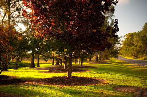 Bundanoon Country Inn Motel - Accommodation Yamba 20