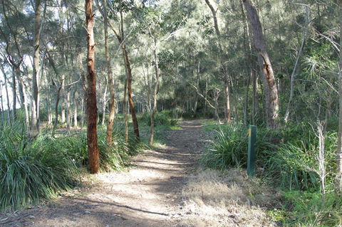 The Edgewater On Greville - Accommodation Yamba 35
