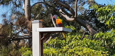 The Edgewater On Greville - Accommodation Yamba 15