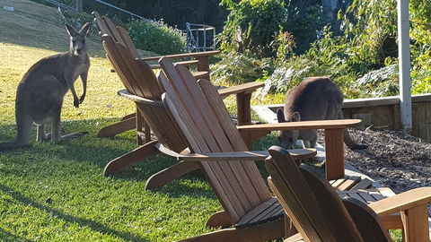 The Edgewater On Greville - Accommodation Yamba 18