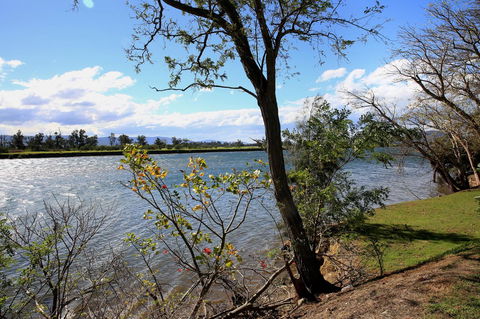 Terara Riverside Retreat - Accommodation Yamba 27
