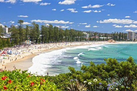 Oversized 2 Bedroom Manly Beach House - Accommodation Yamba 12