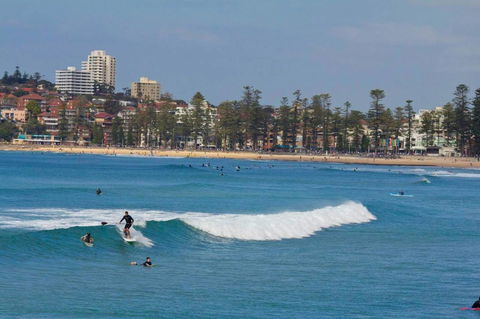 Oversized 2 Bedroom Manly Beach House - Accommodation Yamba 13