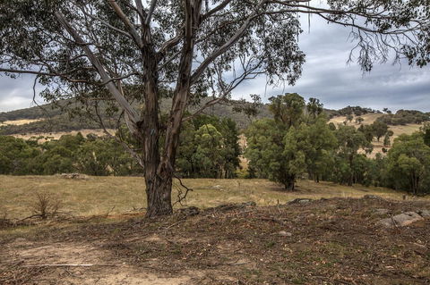 Pound Creek Gallery - Accommodation Yamba 29
