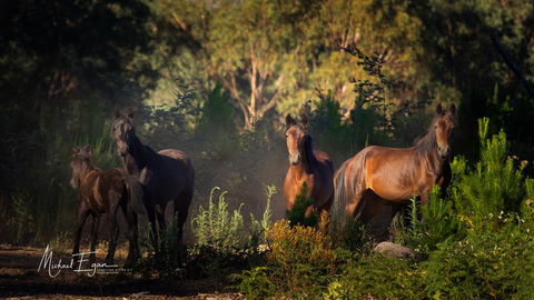 Pound Creek Gallery - Accommodation Yamba 18