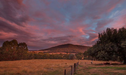 Pound Creek Gallery - Accommodation Yamba 28