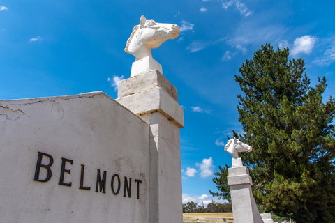 Belmont - Accommodation Yamba 4