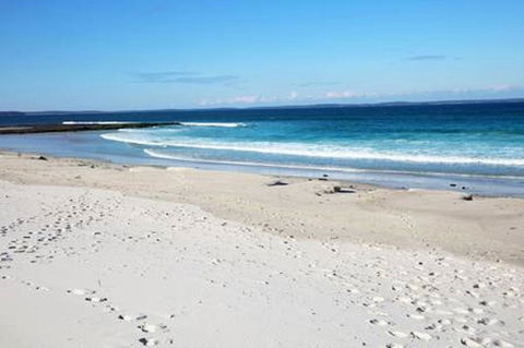 Jervis Bay Beach Shack I Pet Friendly - Accommodation Yamba 16