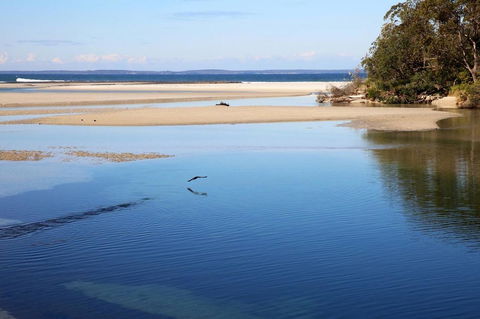 Jervis Bay Beach Shack I Pet Friendly - Accommodation Yamba 19