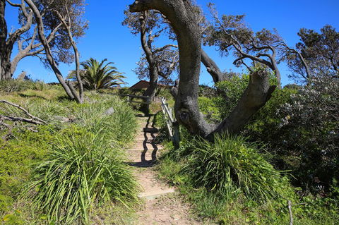 Abode @ Culburra - Pet Friendly - 4 Mins To Beach - Accommodation Yamba 25