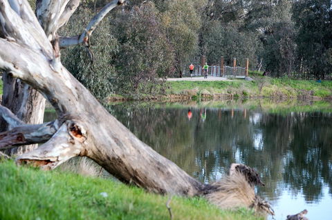 Mercure Albury - Accommodation Yamba 15