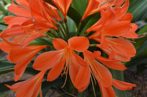 JE Guesthouse, Central To All The Hunter Valley Has To Offer - Accommodation Yamba 39