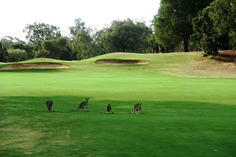 Mulwala Resort - Accommodation Yamba 40