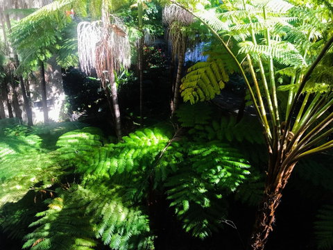 Woollahra Gem, Spectacular Views And Garden Paradise - Accommodation Yamba 34