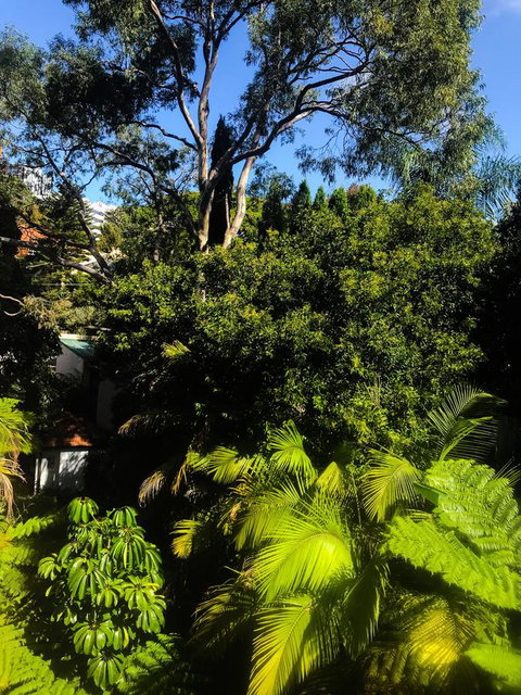 Woollahra Gem, Spectacular Views And Garden Paradise - Accommodation Yamba 31