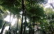 Woollahra Gem, Spectacular Views And Garden Paradise - thumb 33