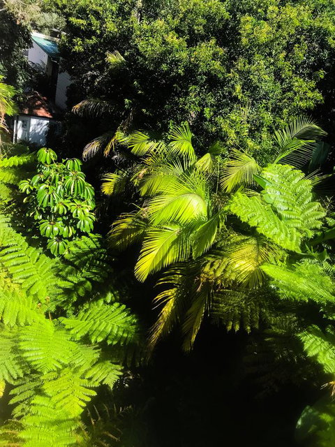 Woollahra Gem, Spectacular Views And Garden Paradise - Accommodation Yamba 29