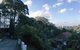 Woollahra Gem, Spectacular Views And Garden Paradise - thumb 21