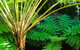 Woollahra Gem, Spectacular Views And Garden Paradise - thumb 35