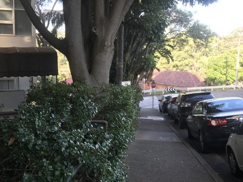 Woollahra Gem, Spectacular Views And Garden Paradise - Accommodation Yamba 1
